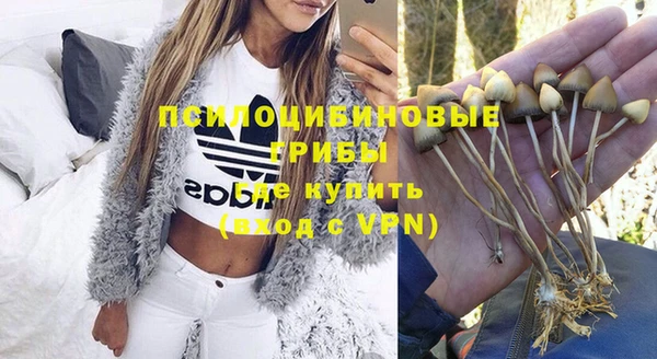 спайс Балахна
