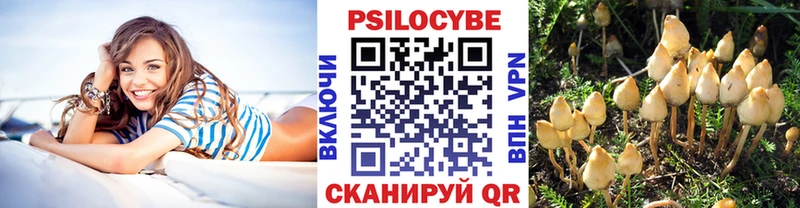 Галлюциногенные грибы мицелий  купить наркоту  Ногинск 