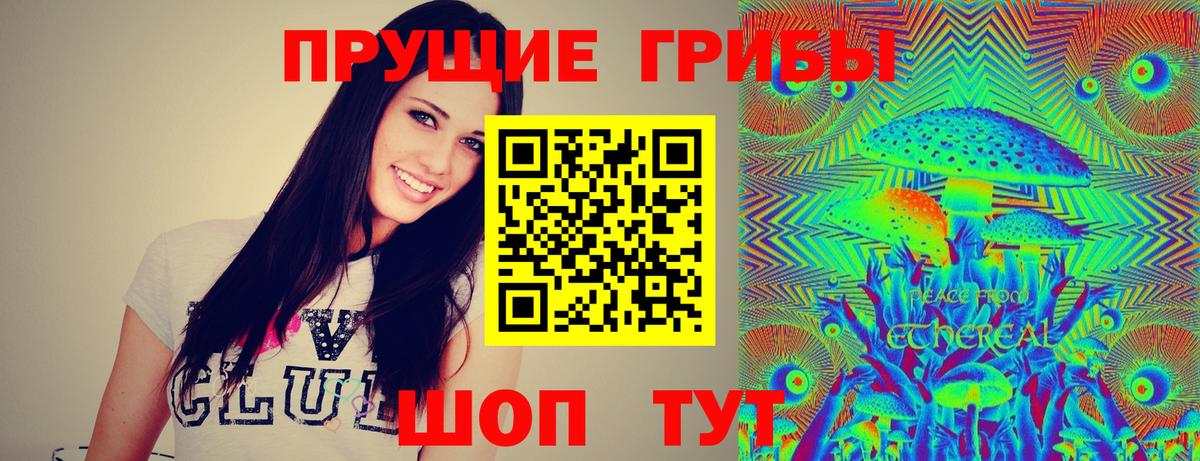 Ногинск  наркошоп  Вход с VPN  Псилоцибиновые грибы Psilocybe  Галлюциногенные грибы Magic Shrooms 